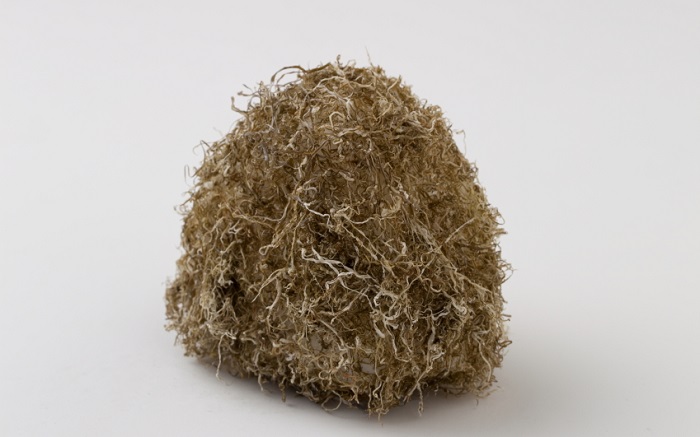 f:id:Meshi2_Writer:20150908151439j:plain