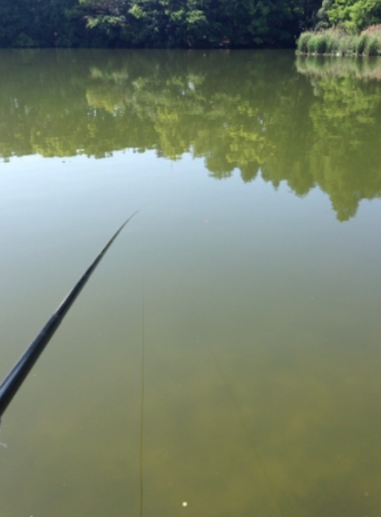 f:id:Meshi2_Writer:20150910001335p:plain