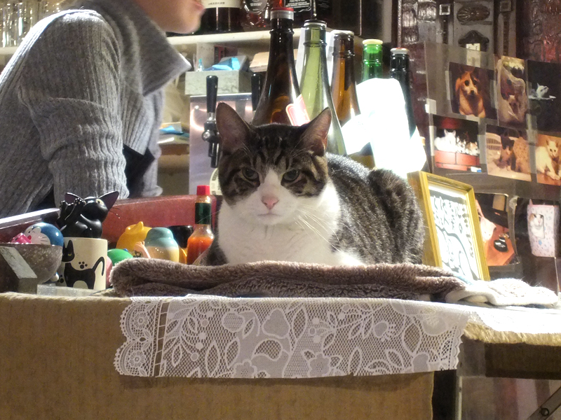 f:id:Meshi2_Writer:20151201151023j:plain