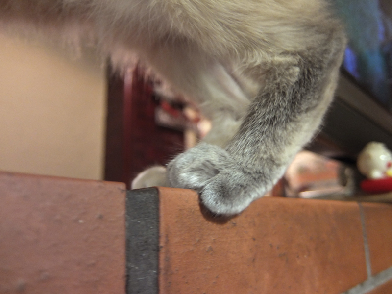 f:id:Meshi2_Writer:20151201151222j:plain