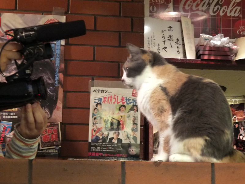 f:id:Meshi2_Writer:20151201151256j:plain