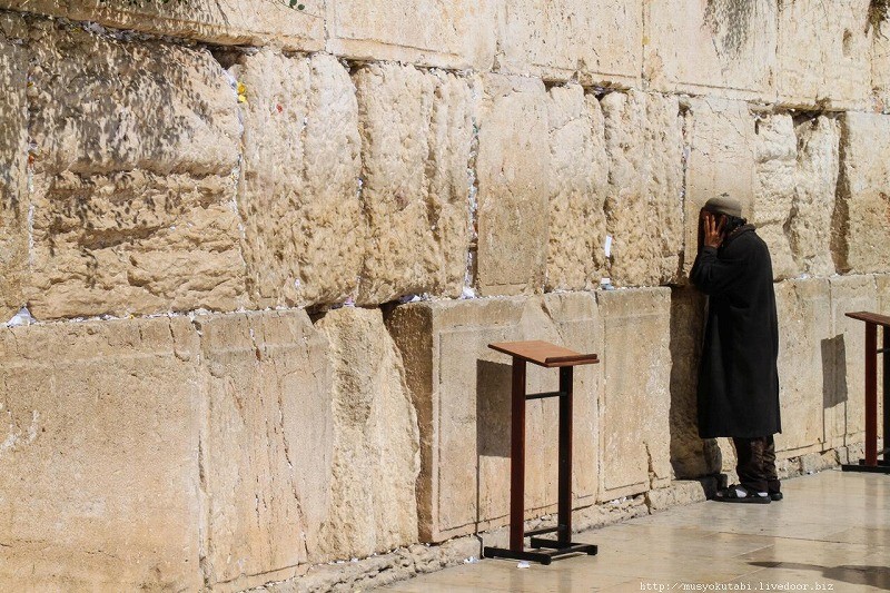 f:id:Meshi2_Writer:20160918010851j:plain