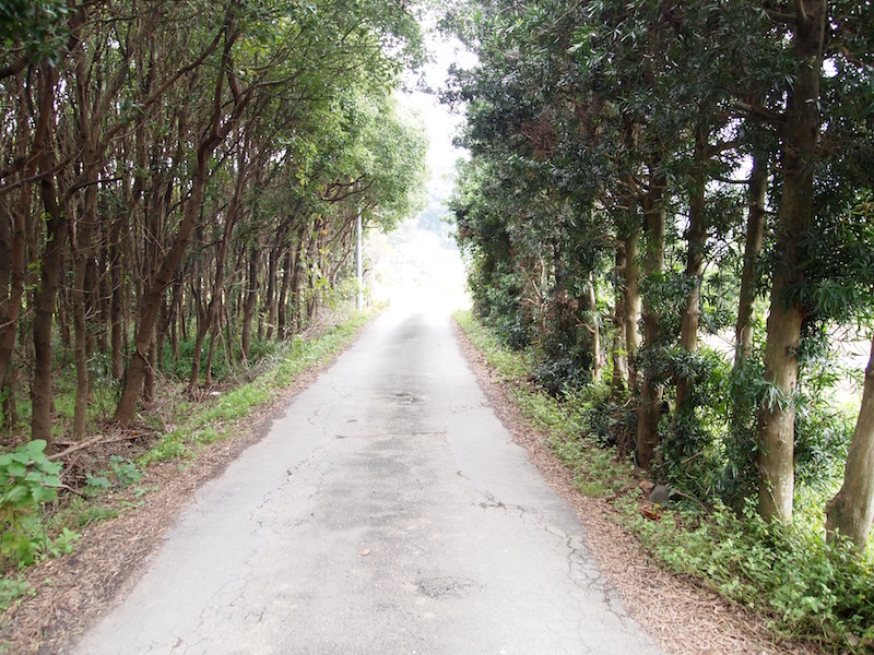 f:id:Meshi2_Writer:20161130200702j:plain