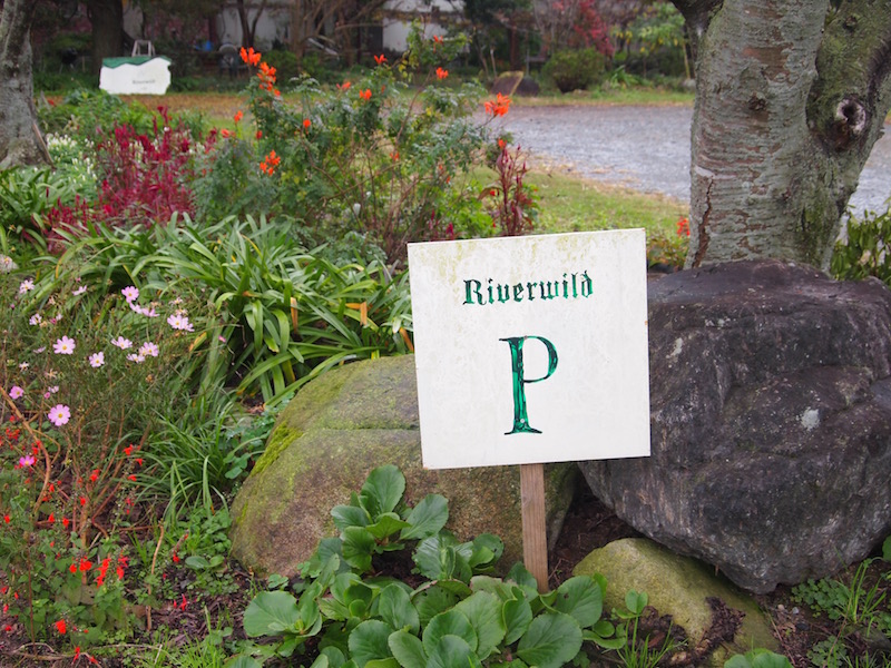 f:id:Meshi2_Writer:20161130201122j:plain