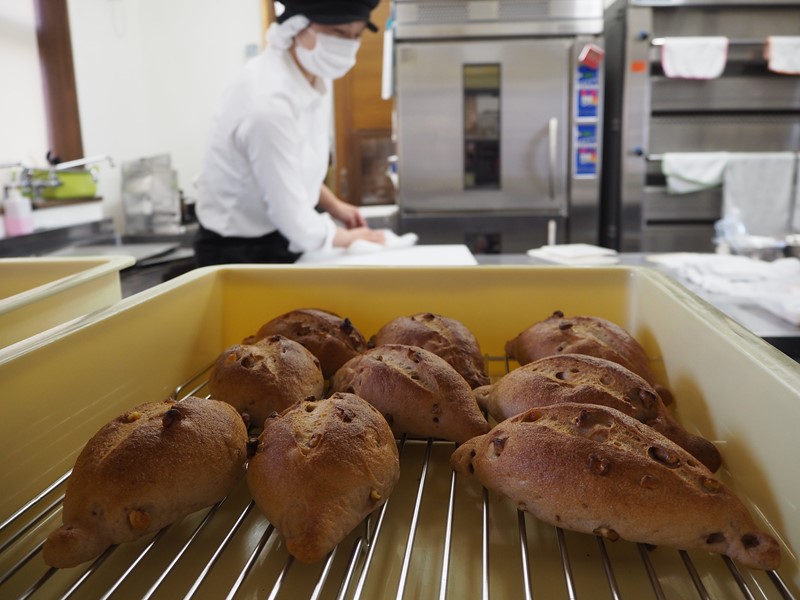 f:id:Meshi2_Writer:20161201170855j:plain f:id:Meshi2_Writer:20161201170855j:plain