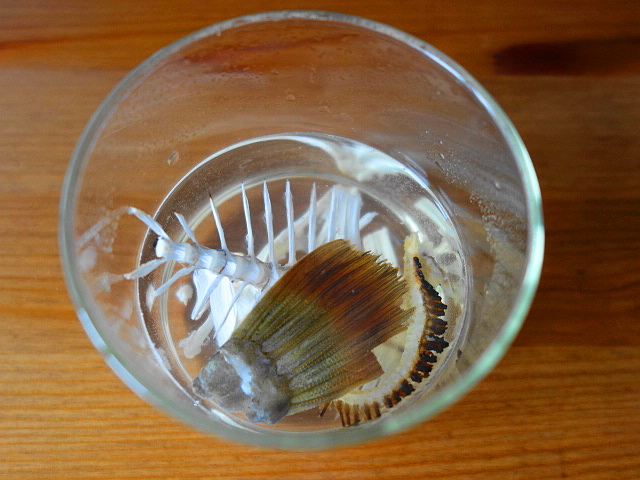 f:id:Meshi2_Writer:20170127111510j:plain f:id:Meshi2_Writer:20170127111510j:plain