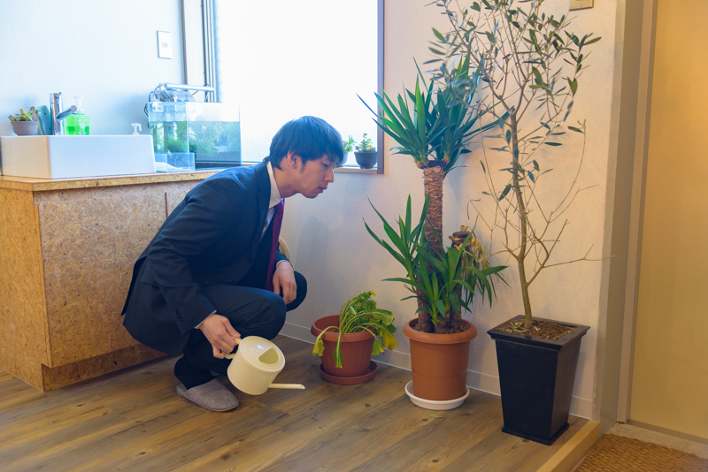 f:id:Meshi2_Writer:20170131194211j:plain f:id:Meshi2_Writer:20170131194211j:plain