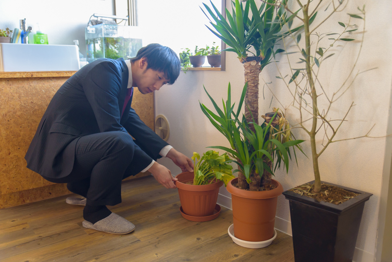 f:id:Meshi2_Writer:20170131194245j:plain f:id:Meshi2_Writer:20170131194245j:plain