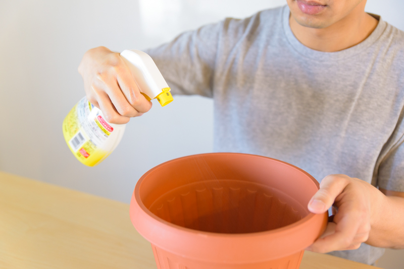 f:id:Meshi2_Writer:20170131194651j:plain f:id:Meshi2_Writer:20170131194651j:plain