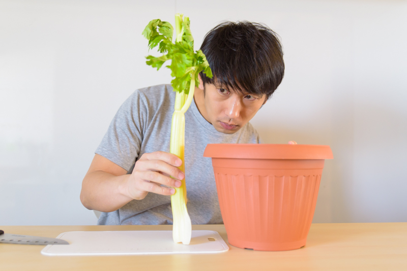 f:id:Meshi2_Writer:20170131194758j:plain f:id:Meshi2_Writer:20170131194758j:plain