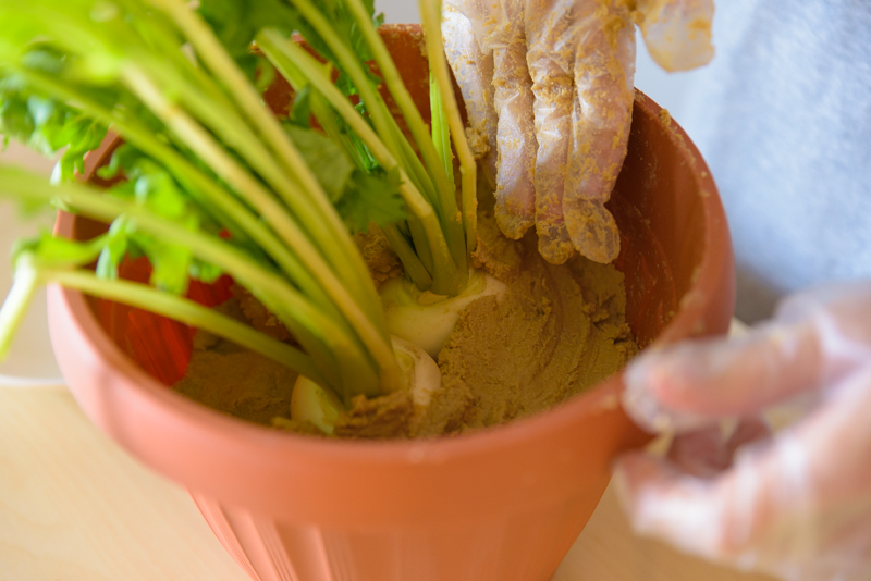 f:id:Meshi2_Writer:20170131195358j:plain f:id:Meshi2_Writer:20170131195358j:plain