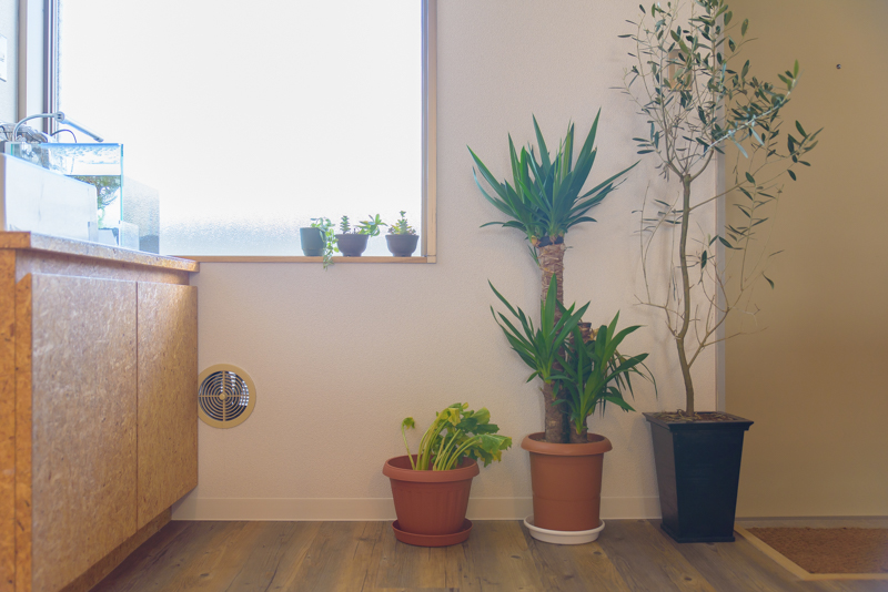 f:id:Meshi2_Writer:20170131195452j:plain f:id:Meshi2_Writer:20170131195452j:plain