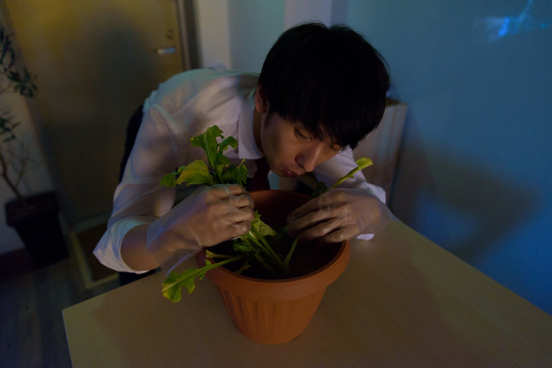 f:id:Meshi2_Writer:20170131200025j:plain f:id:Meshi2_Writer:20170131200025j:plain