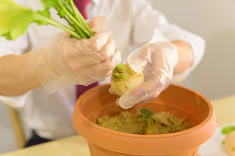 f:id:Meshi2_Writer:20170131200131j:plain f:id:Meshi2_Writer:20170131200131j:plain