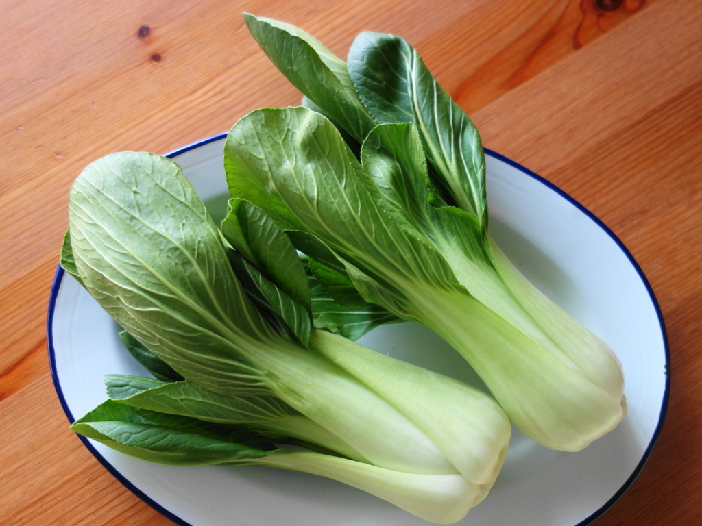 f:id:Meshi2_Writer:20180419131458j:plain f:id:Meshi2_Writer:20180419131458j:plain