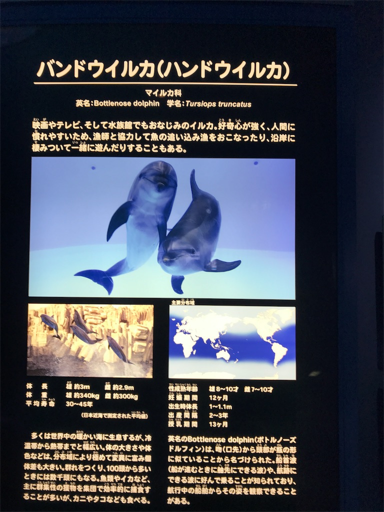 f:id:Messi0827:20181225214419j:image f:id:Messi0827:20181225214419j:image