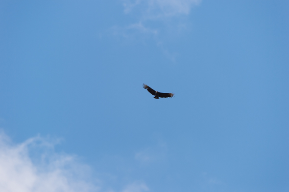 f:id:Mfotos:20170403013254j:plain