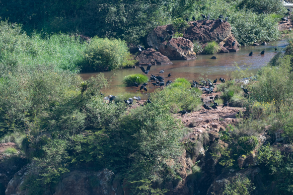 f:id:Mfotos:20170403013310j:plain