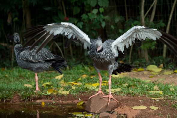 f:id:Mfotos:20170416030428j:plain f:id:Mfotos:20170416030428j:plain