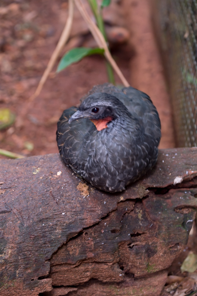 f:id:Mfotos:20170416030508j:plain f:id:Mfotos:20170416030508j:plain