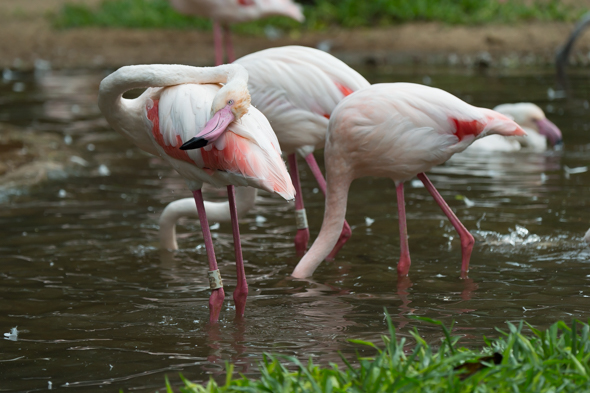 f:id:Mfotos:20170416030536j:plain f:id:Mfotos:20170416030536j:plain