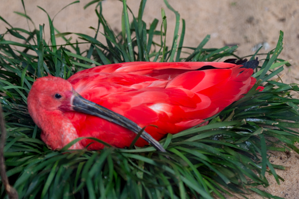 f:id:Mfotos:20170416084957j:plain f:id:Mfotos:20170416084957j:plain