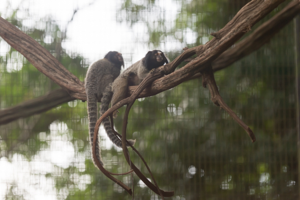 f:id:Mfotos:20170416085053j:plain f:id:Mfotos:20170416085053j:plain