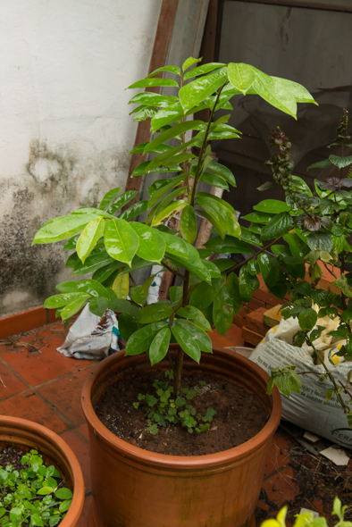 f:id:Mfotos:20170607230253j:plain