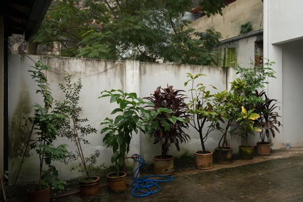 f:id:Mfotos:20170608023308j:plain