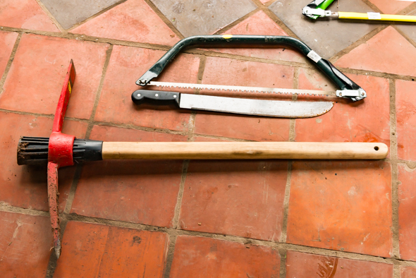 f:id:Mfotos:20170608024326j:plain