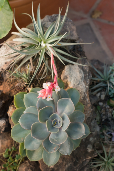 f:id:Mfotos:20170622051057j:plain