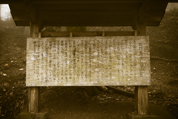 f:id:Mfotos:20170622051658j:plain f:id:Mfotos:20170622051658j:plain