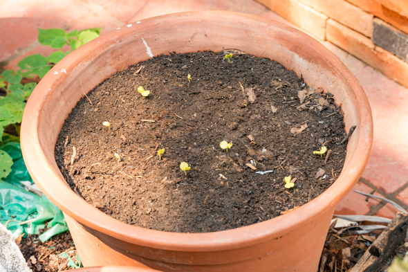 f:id:Mfotos:20170919005009j:plain