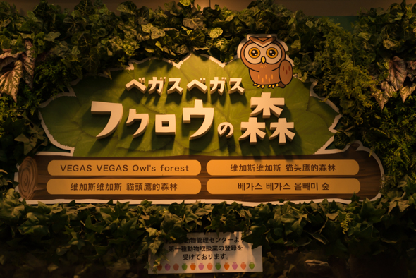 f:id:Mfotos:20170929072700j:plain f:id:Mfotos:20170929072700j:plain