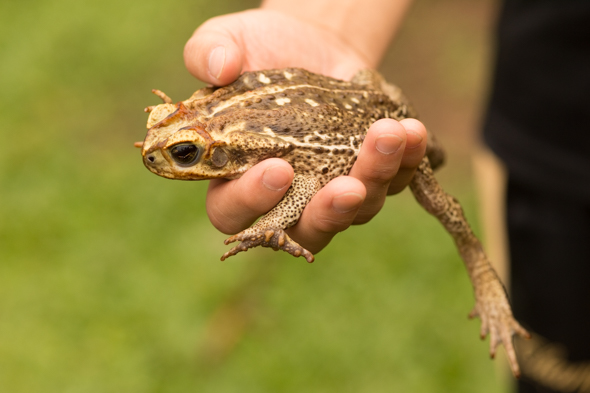 f:id:Mfotos:20171010092905j:plain