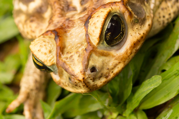 f:id:Mfotos:20171010092924j:plain