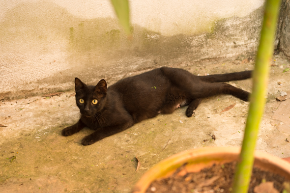 f:id:Mfotos:20171019060124j:plain f:id:Mfotos:20171019060124j:plain