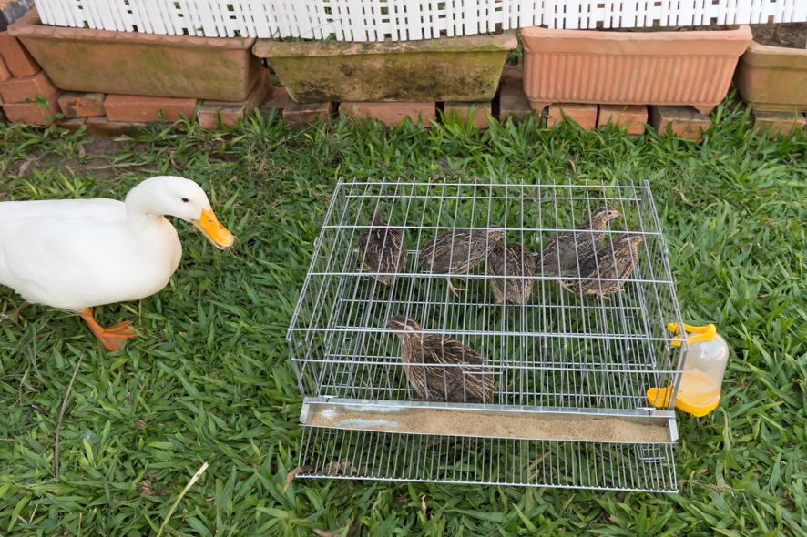 f:id:Mfotos:20171116073335j:plain