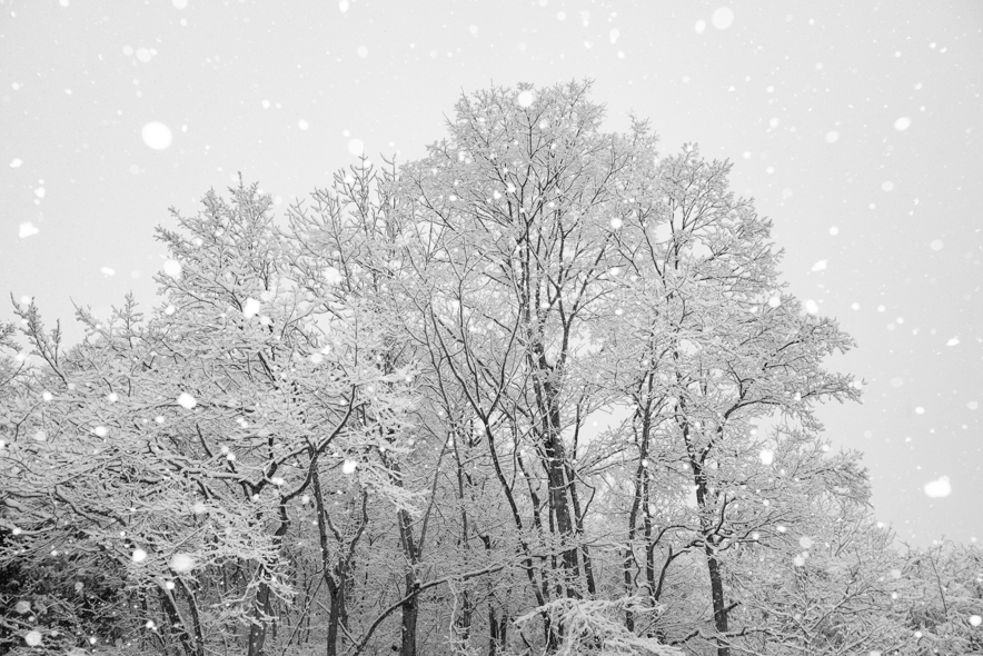 f:id:Mfotos:20171223100552j:plain f:id:Mfotos:20171223100552j:plain