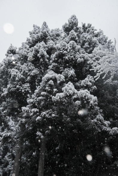 f:id:Mfotos:20171229025858j:plain f:id:Mfotos:20171229025858j:plain