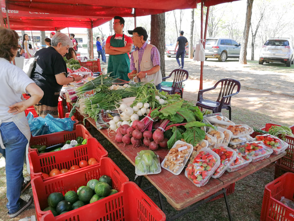 f:id:Mfotos:20180911041841j:plain f:id:Mfotos:20180911041841j:plain