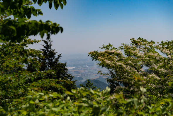 f:id:Mfotos:20191223044225j:plain f:id:Mfotos:20191223044225j:plain