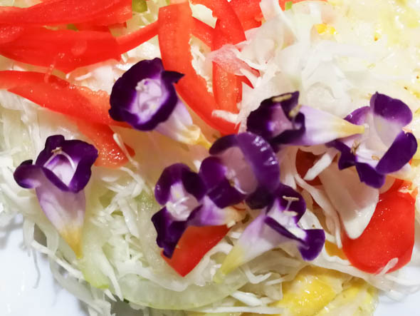 f:id:Mfotos:20200212101339j:plain