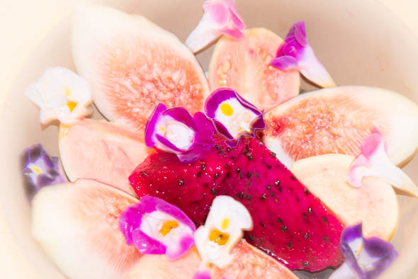 f:id:Mfotos:20200214095339j:plain