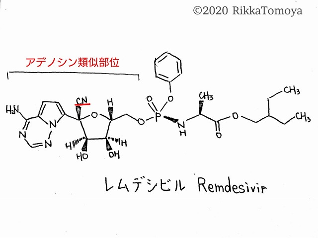 f:id:MgTily:20200513174711j:plain