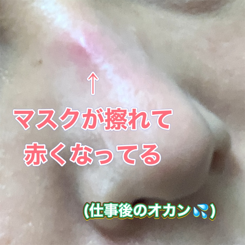 f:id:MiSia:20220226220317j:plain