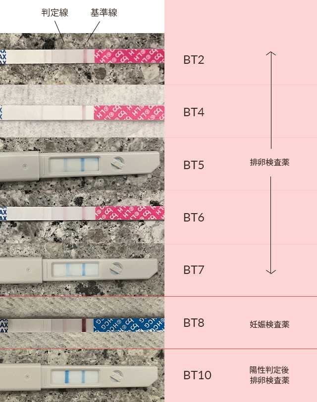 BT２～BT10までの排卵検査薬の変化