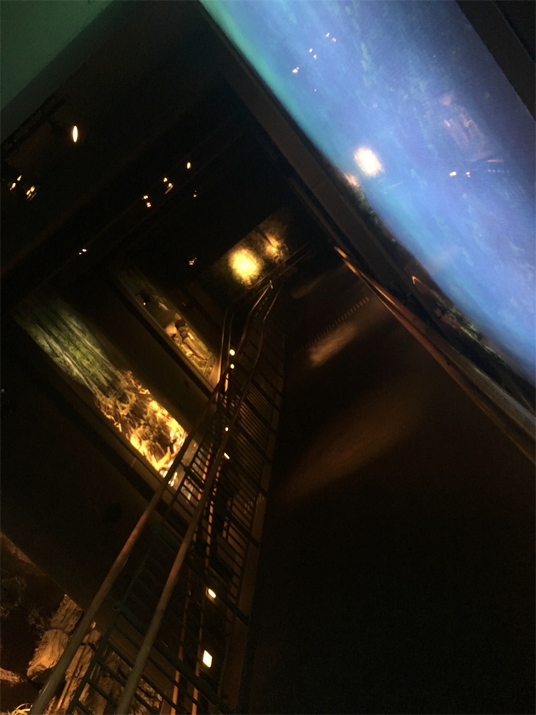 f:id:Miami1925:20180912034434j:image
