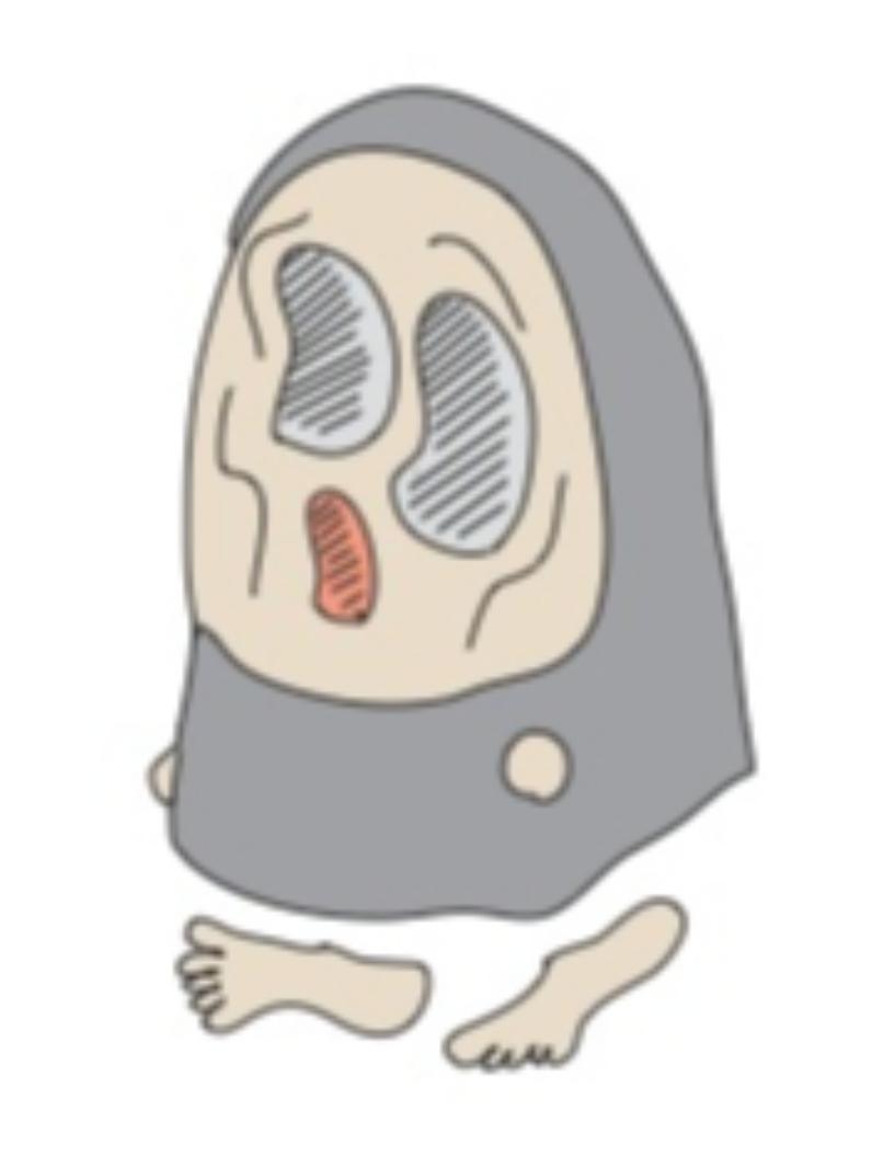 f:id:Micchiee:20190804044542j:plain