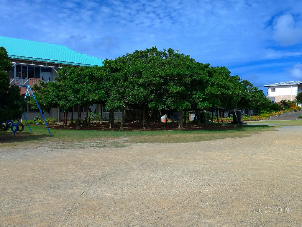 f:id:Michanfish:20190831133827j:plain